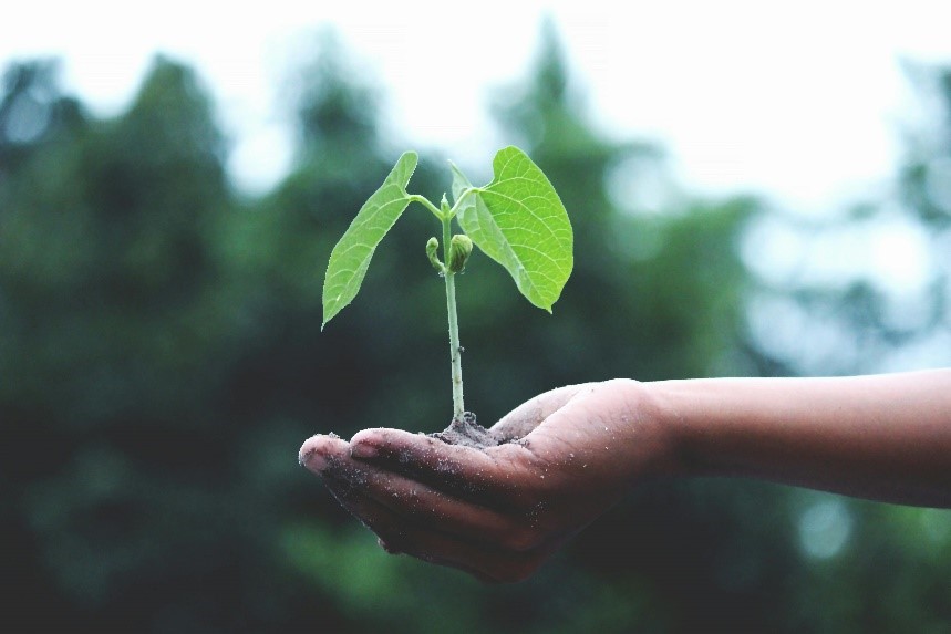 Eficiencia energética en plantas MBR